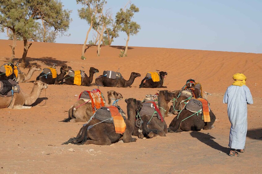 Picture 6 for Activity Fez Desert Discovery: 2 Days, 1 Night - Great Deal!