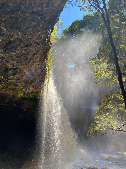 Picture 3 for Activity Byron Bay: Waterfalls and Hidden Gems Day Tour