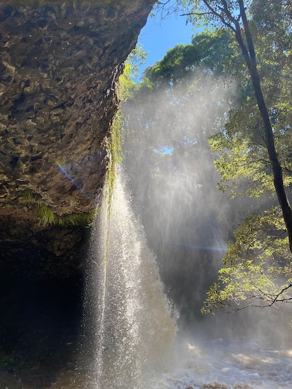 Picture 3 for Activity Byron Bay: Waterfalls and Hidden Gems Day Tour