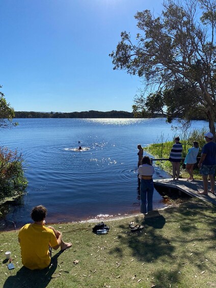 Picture 2 for Activity Byron Bay: Waterfalls and Hidden Gems Day Tour