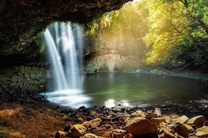 Byron Bay: Behind The Bay Waterfalls & Hidden Gems Day Tour