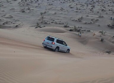 Magical Desert Safari By Land Cruise in Empty Quarter