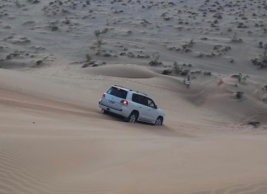 Magical Desert Safari By Land Cruise in Empty Quarter