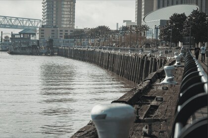 Wedergeboorte van New Orleans Tour: Het leven na Katrina