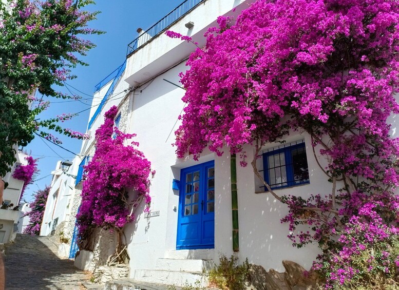 Picture 4 for Activity From Girona: Dalí Museum, Cadaqués and Creus Cape Tour