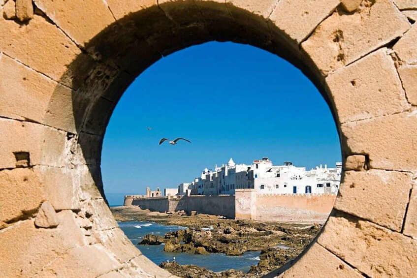Picture 5 for Activity From Marrakech : Essaouira Full-Day Private Trip
