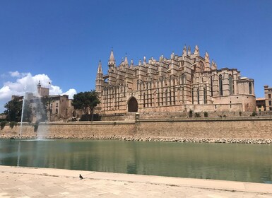 Palma de Mallorca: Lifestyle & local food tasting