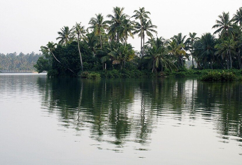 Picture 2 for Activity Day Trip to Varkala from Trivandrum (Guided Full Day Tour)