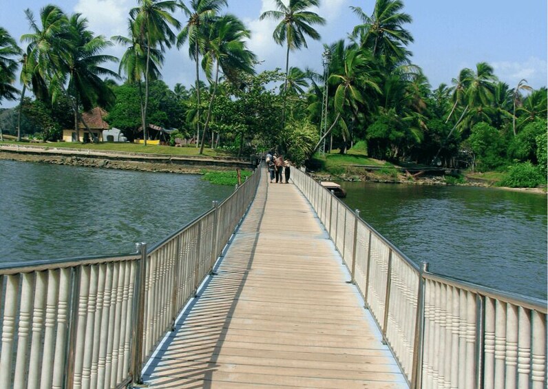 Picture 6 for Activity Day Trip to Varkala from Trivandrum (Guided Full Day Tour)