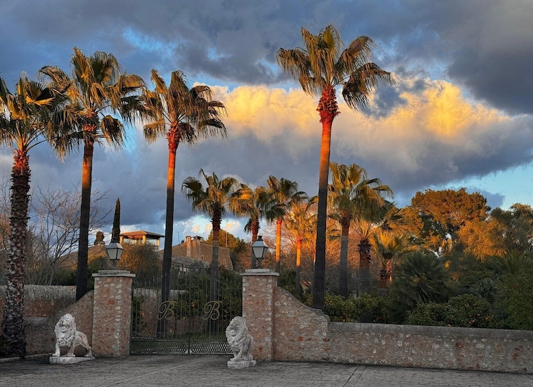 Picture 7 for Activity Weinsonntag auf Mallorca