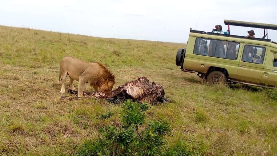 Lake Nakuru Overnight Safari.