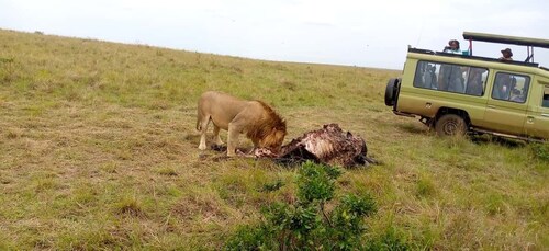 Lake Nakuru 1 Night 2 Days Safari.