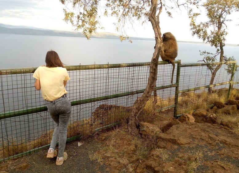 Picture 6 for Activity Lake Nakuru Overnight Safari.