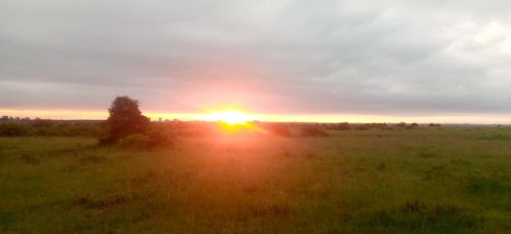 Picture 1 for Activity Lake Nakuru Overnight Safari.