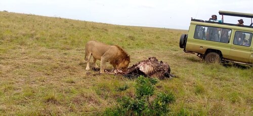 Lake Nakuru Overnight Safari.