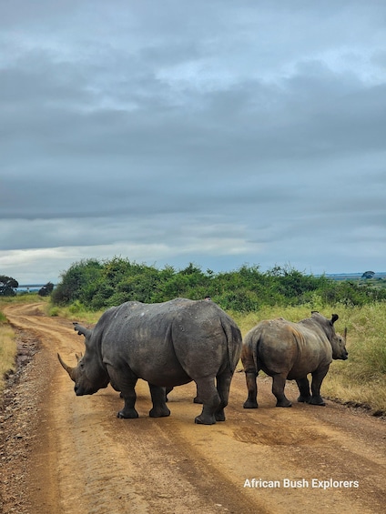 Picture 5 for Activity Lake Nakuru 1 Night 2 Days Safari.