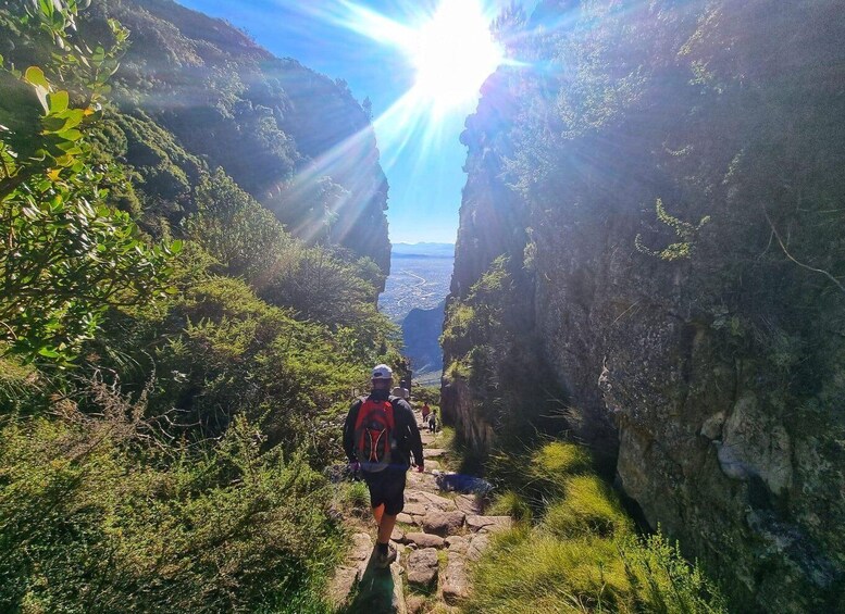 Picture 1 for Activity Cape Town: Table Mountain Abseil and Hike