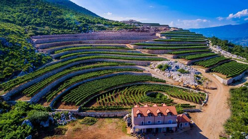 Građani: Visita a la bodega y degustación en la bodega Lipovac