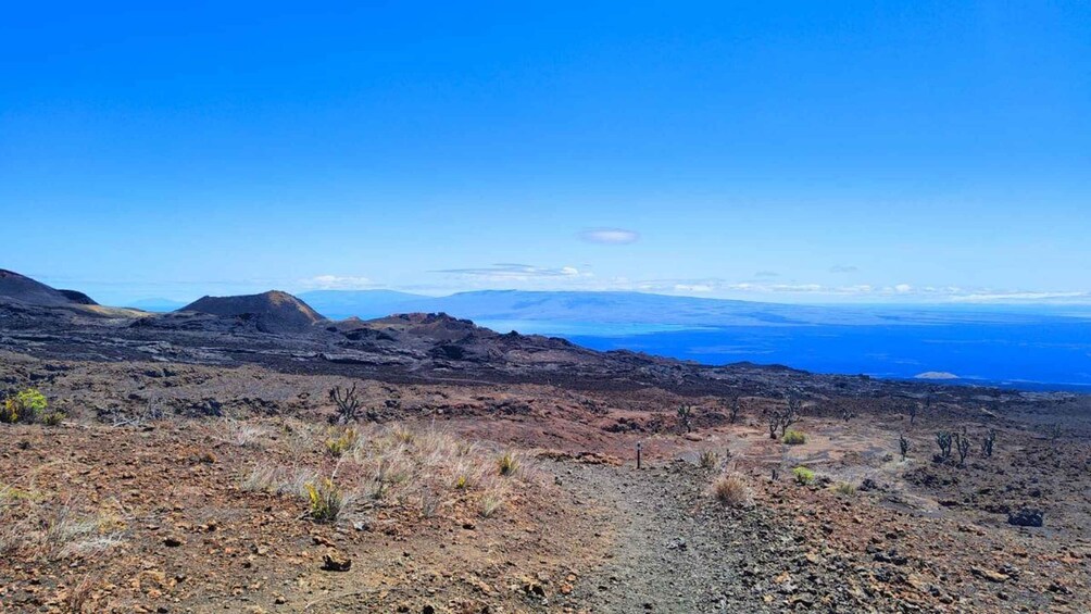 Picture 4 for Activity Conquer Sierra Negra Volcano! Expedition to the lava fields