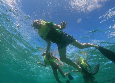 Oranjestad: Mangel Halto and Baby Beach Snorkelling Tour