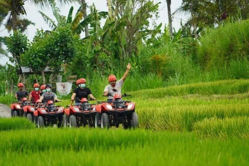 Picture 3 for Activity Ubud: Best of ATV Quad Bike Adventure