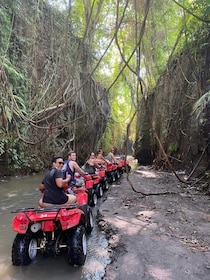 Ubud: Best of quad bike Quad Bike Adventure