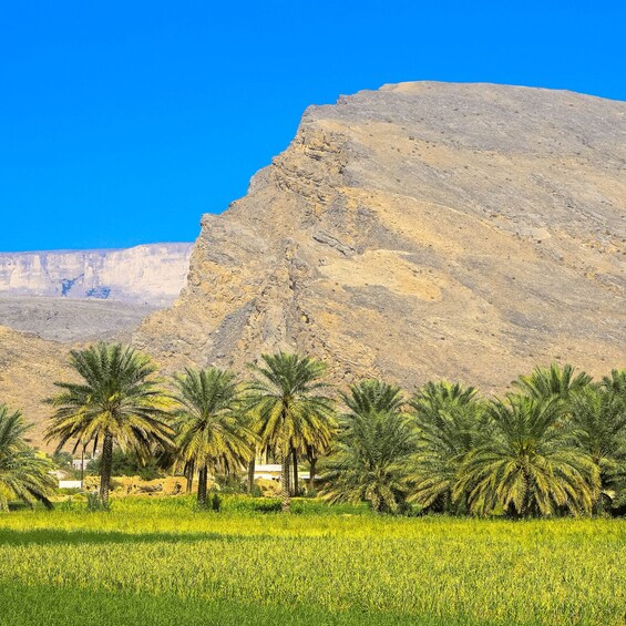 Picture 6 for Activity Enjoy Your Weekend: Full Day Tour to Nizwa, Bahla and Hamra