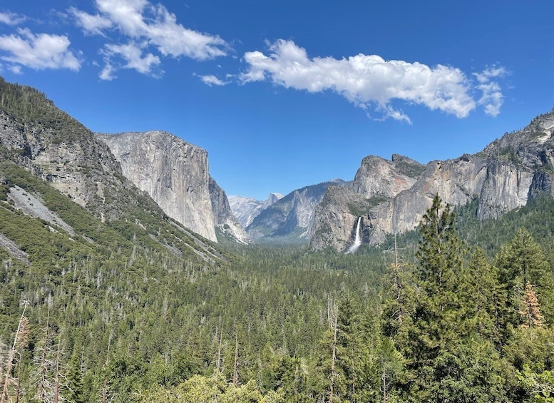 Yosemite, Giant Sequoias, Private Tour from San Francisco