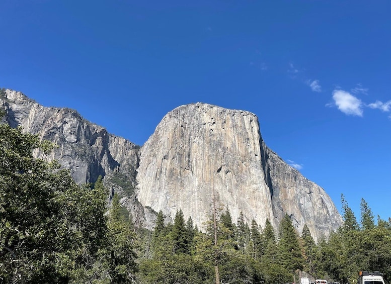 Picture 10 for Activity Yosemite, Giant Sequoias, Private Tour from San Francisco