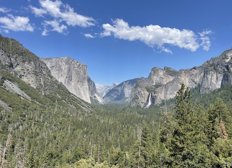 Yosemite, Giant Sequoias, Private Tour from San Francisco