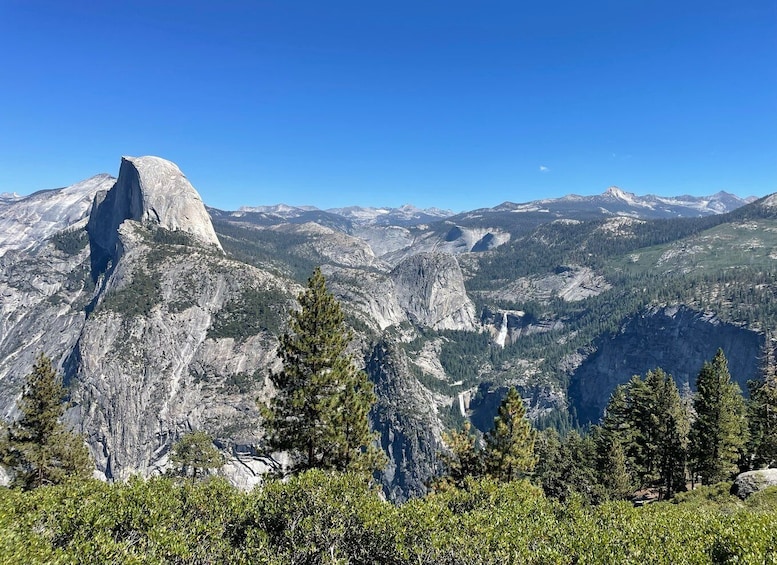 Picture 6 for Activity Yosemite, Giant Sequoias, Private Tour from San Francisco