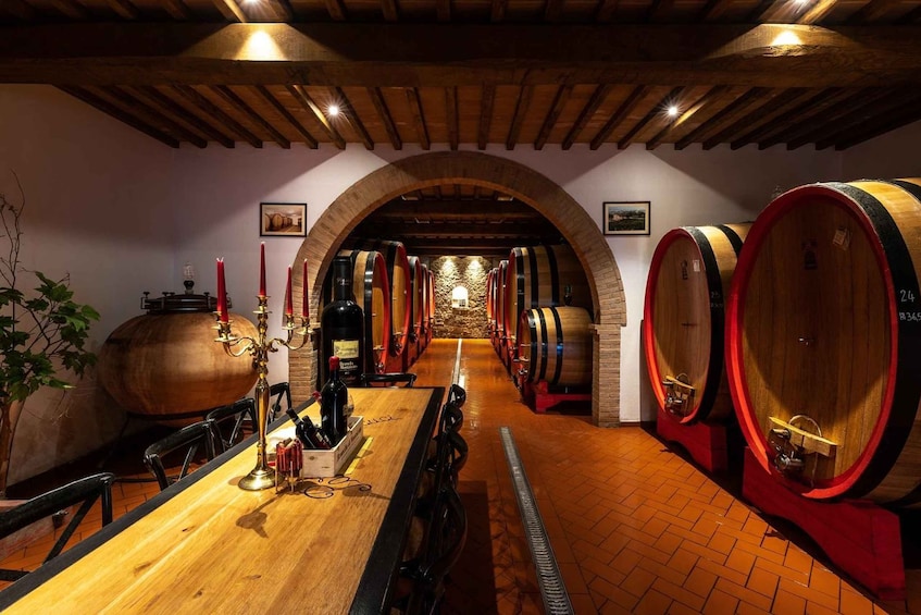 Picture 1 for Activity Montalcino: Premium Wine Tasting with light-lunch and Tour