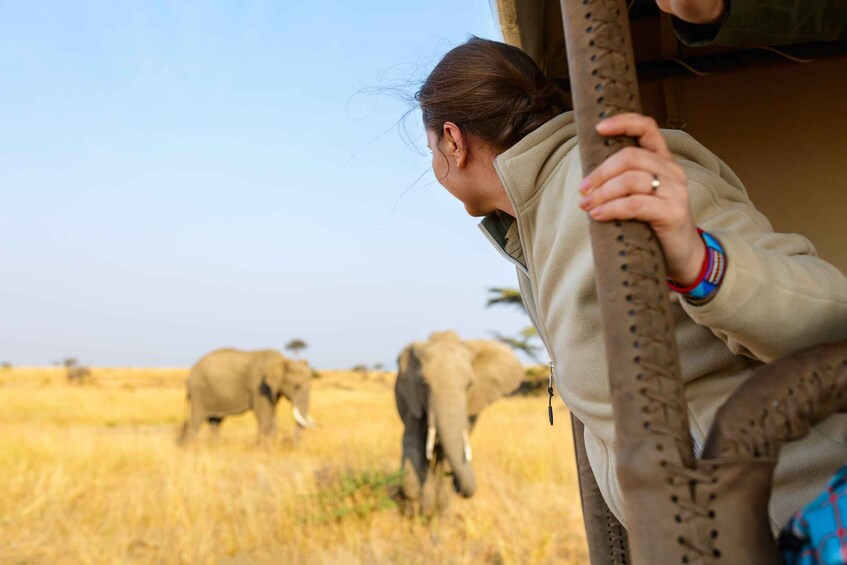 Picture 2 for Activity Day Safari to Mikumi from Zanzibar