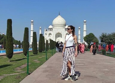 Excursión privada al Taj Mahal y al fuerte de Agra desde Delhi