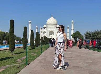 Private Taj Mahal und Agra Fort Tour ab Delhi