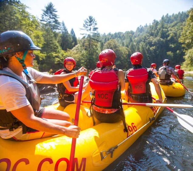 Picture 2 for Activity Clayton: Chattooga River Rafting on Class III Rapids