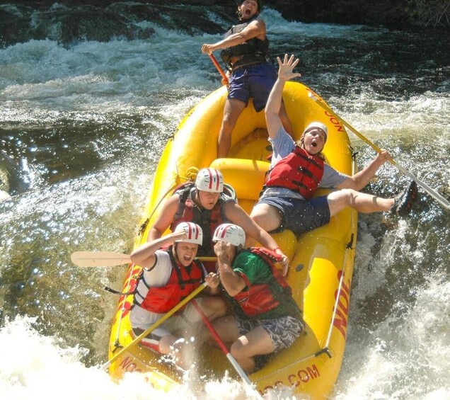 Picture 1 for Activity Clayton: Chattooga River Rafting on Class III Rapids