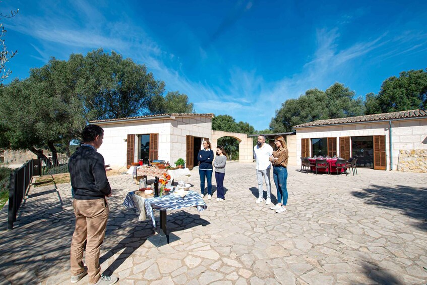 Picture 6 for Activity Visit of the olive grove, olive oil tasting and snack