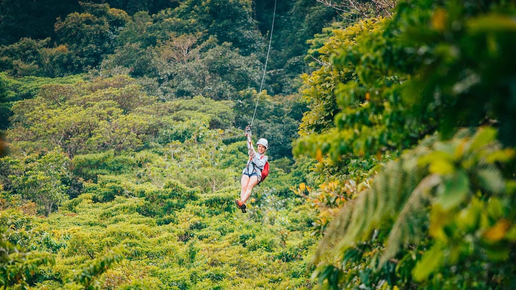 Picture 6 for Activity Monteverde: Zip Lines, Bridges, Butterflies, Sloths and more