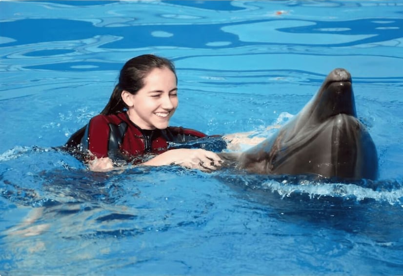 Picture 20 for Activity 1-Hour Show at Dolphin World with Optional Pickup