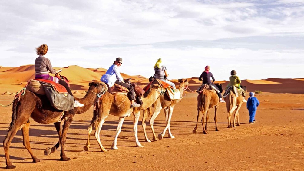 Picture 2 for Activity Saudi Arabia: Arabian Desert on a Jeddah Safari Adventure