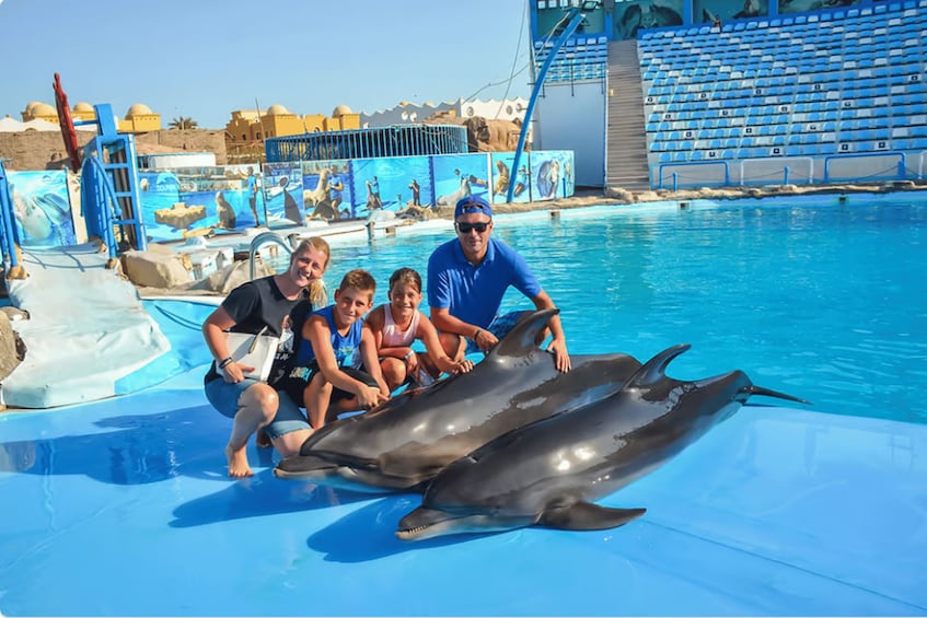 Picture 4 for Activity 1-Hour Show at Dolphin World with Optional Pickup