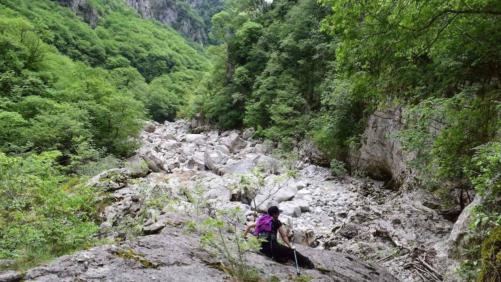 Picture 3 for Activity Zagori: Hiking In Vikos Gorge