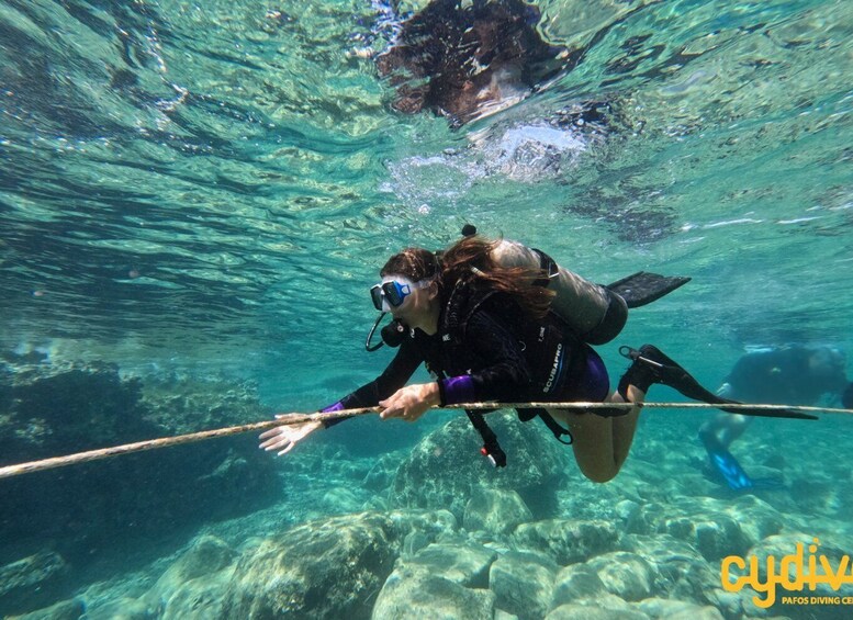 Picture 9 for Activity Paphos: Mediterranean Scuba Diving Half-Day Tour