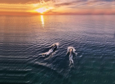 From Fazana: Private Dolphin search & Sunset cruise