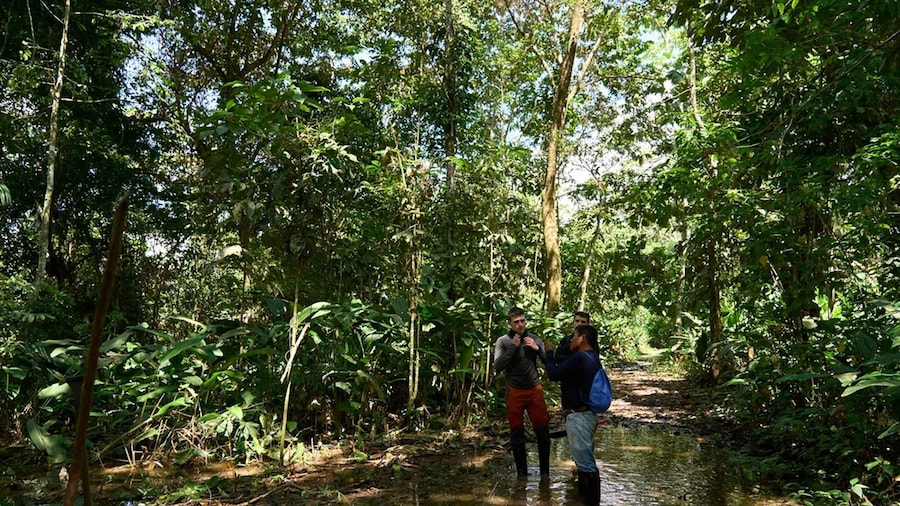 Iquitos: Amazon Adventure and Expedition Tour | 3 Days