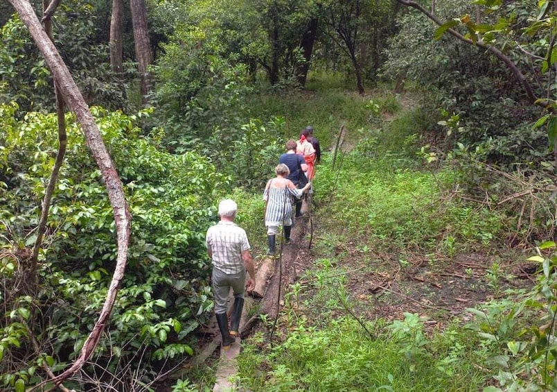 Picture 1 for Activity Iquitos: Amazon Expedition | 3 Days (Canopy Tours Iquitos)