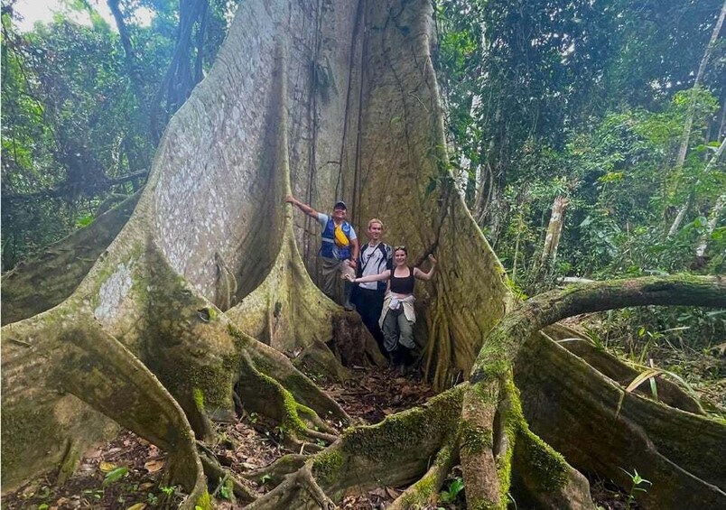 Picture 2 for Activity Iquitos: Amazon Expedition | 3 Days (Canopy Tours Iquitos)