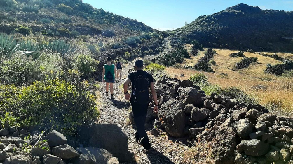 Picture 2 for Activity Maspalomas: Barranco de las Vacas, Caves, Farmhouse Tour