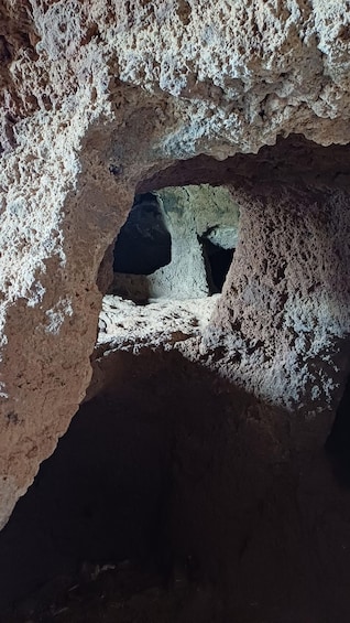 Picture 17 for Activity Maspalomas: Barranco de las Vacas, Caves, Farmhouse Tour